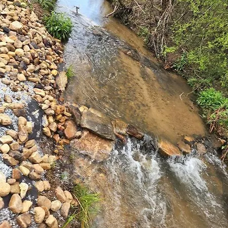 Lazy Bear Retreat By The Creek Villa Pickens Exterior photo